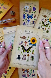 Image 7 of Zodiac Signs Art Postcard Bundle