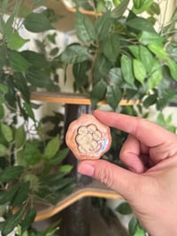 Image 4 of Pearly Whites