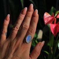 Image 3 of Rainbow Moonstone 