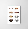 American Football Shoulder Pad Evolution