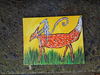 Image 3 of Possum Riding Fox