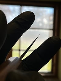 Image 5 of #3 Mono Gyuto