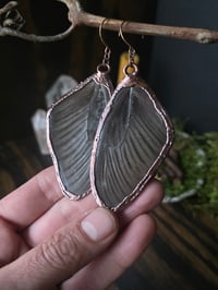Image 1 of Butterfly Wing Earrings (black)