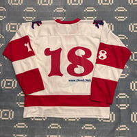 Image 2 of GD Detroit Hockey Jersey Sz L 