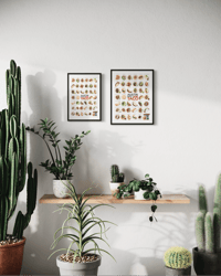 Image 4 of AUSTIN — TACOS