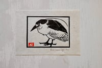 Image 1 of Black-Crowned Night Heron ✦ Linocut Print