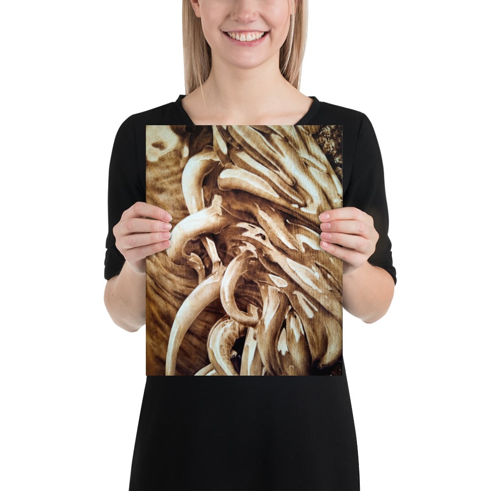 Photo Print: Sea Anemone (Upper)