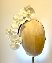 Image 1 of White orchids