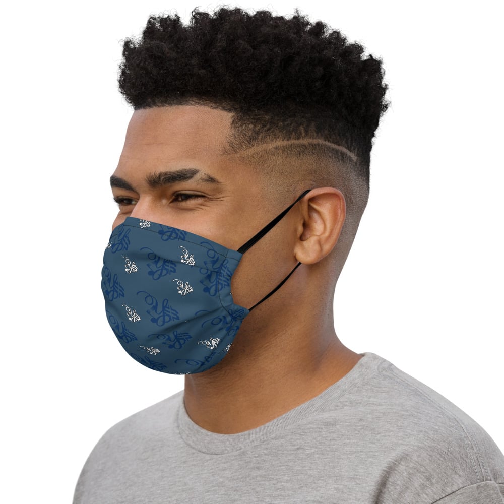 Image of YStress Pandemic Premium Navy Blue, and White face mask