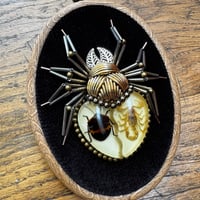 Image 1 of Specimen spider (e,  4x5 inches)