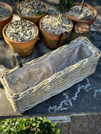 Image 3 of Harolds Signature Hanging Rattan Planter