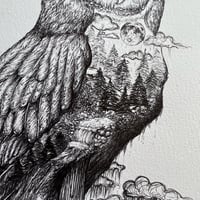 Image 5 of Estelle the Black Barn Owl