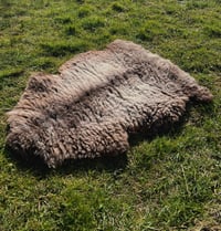 Image 2 of Harting Black Sheepskin #17