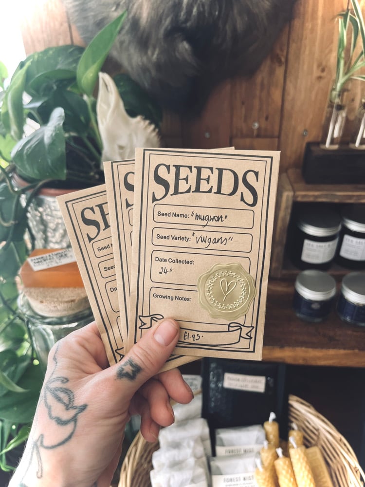 Image of Organic Artemisia Vulgaris Seeds (Mugwort) 