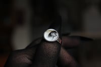 Image 7 of Dead Good naturally deceased Fly ring