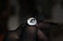 Dead Good naturally deceased Fly ring Image 7