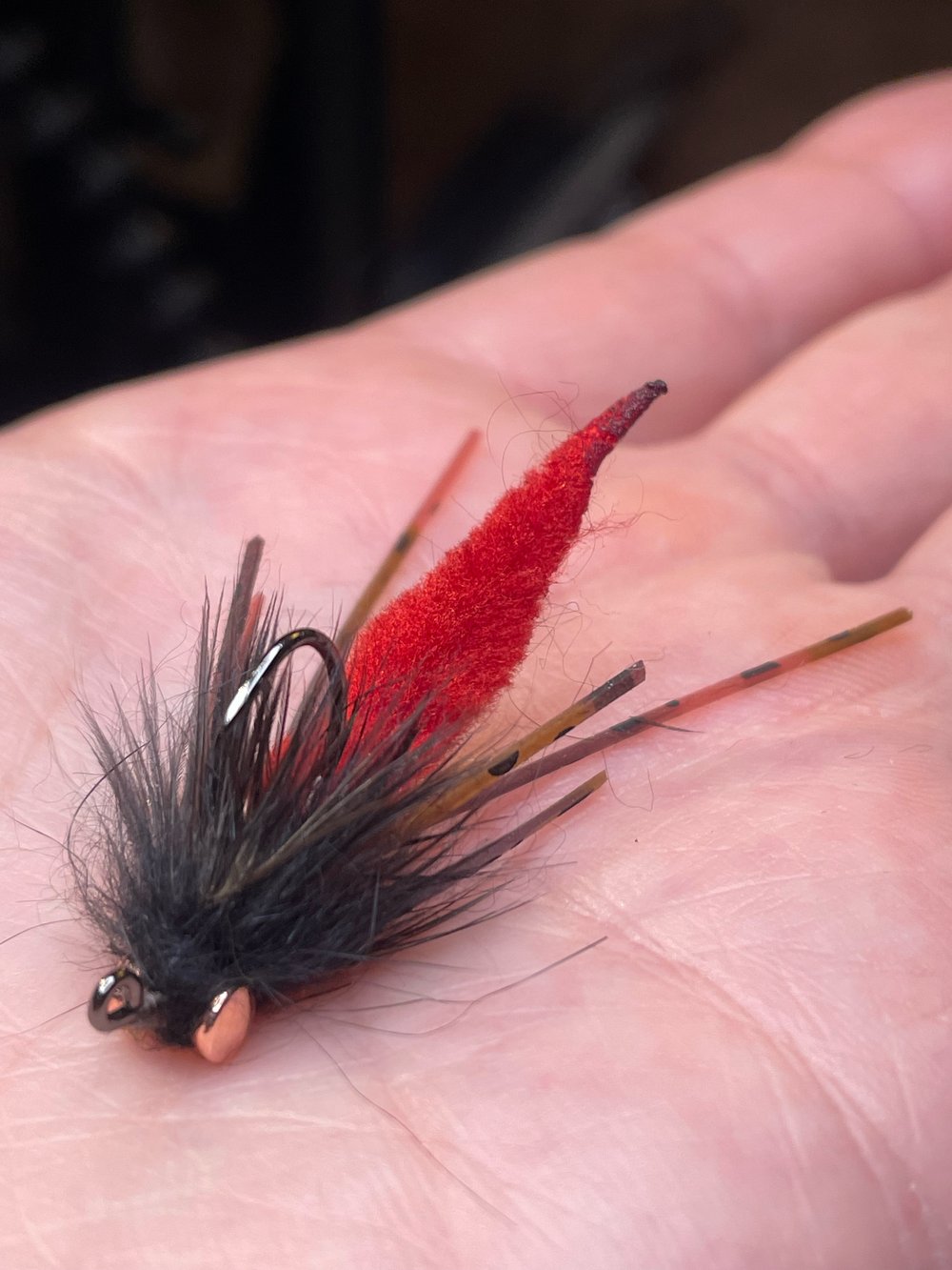 Dragon Craw  