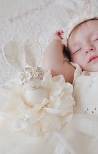 Image 7 of Cottontail