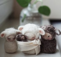 Image 1 of Animali Sheep Family SET {RTS}