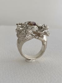 Image 5 of Sunset Reverie