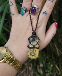 Image 3 of Bumble Bee Jasper
