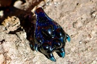 Image 3 of Paw Pendant - Crushed Opal