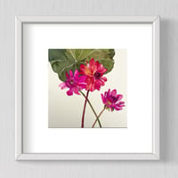 Image 5 of Three dahlias original unframed watercolour and gouache painting 