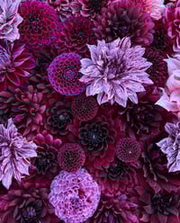 Image 1 of Dark & Mysterious 
