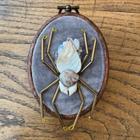 Image 4 of Spider (a, 2x2.5 inches)