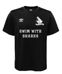 Image 4 of SWS x Umbro Field Jersey