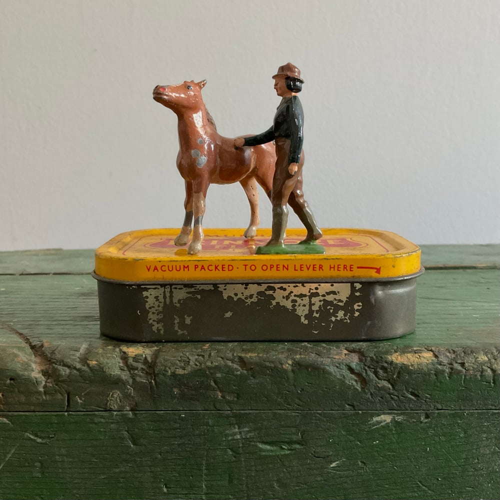 Image of Woman Patting Foal