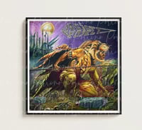 Image 1 of Oasis Project