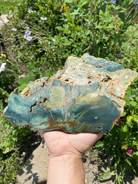 Image 1 of Larsonite Bogwood Slab