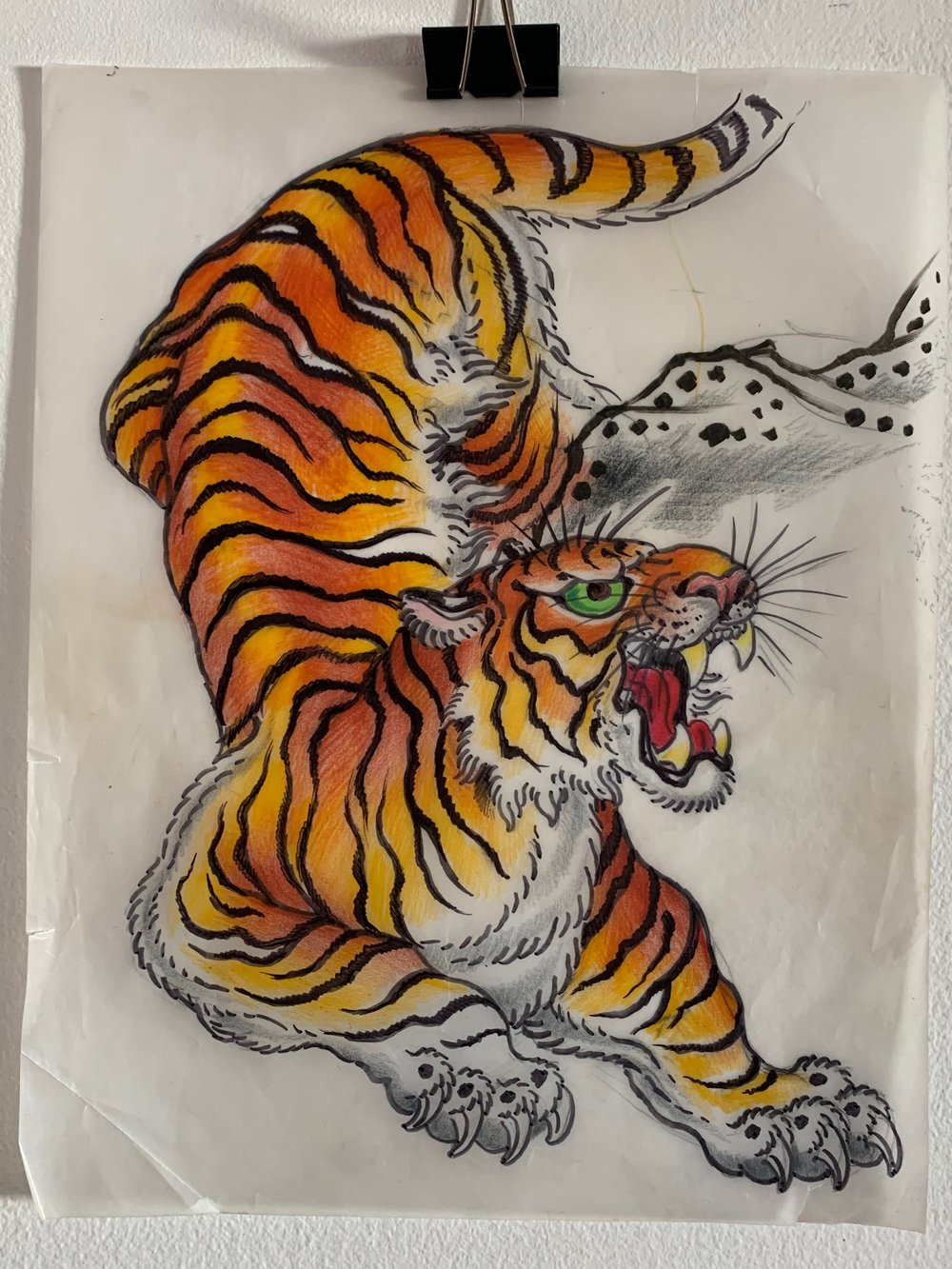 Image of Crawling tiger w rock on tracing paper 