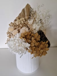 Image 1 of Vanilla Bean Florals
