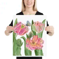 Image 2 of Parrot Tulips- Poster Print