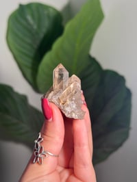 Image 1 of NATURAL EXPOSED RUTILE SMOKEY QUARTZ POINT -BRAZIL- C