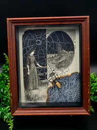 Image 1 of Statement "Crescent Moon"  1897 Taxiderny orbweaver Spider & Preserved Web