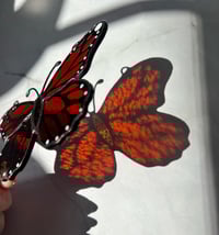 Image 5 of Painted Monarch Butterfly