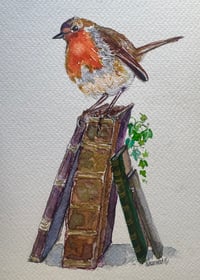 Image 3 of 6  Robin Xmas Cards 