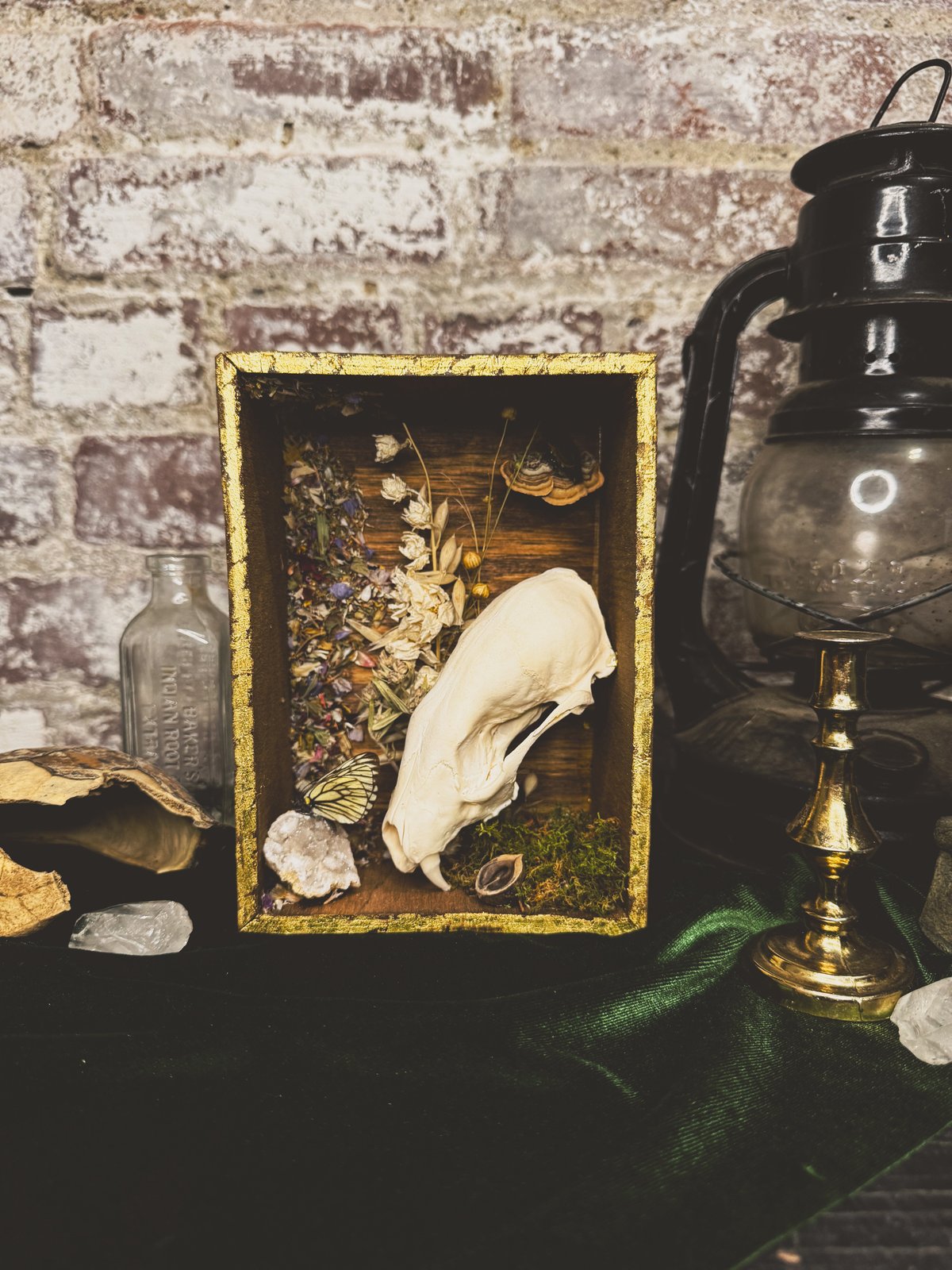 Image of Gold leafed Fisher shadowbox 