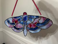 Image 2 of One of a Kind Moths