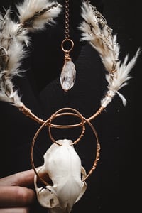 Image 3 of Cat Skull Hanger