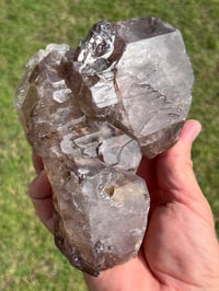 Image 4 of Smoky Quartz & Red Rutile Enhydro Multi Terminated Crystal | Zambia #3052