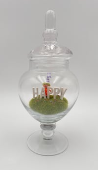 Image 4 of Gnome terrariums