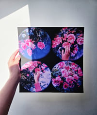 Image 3 of MOON LANDSCAPES ROSES