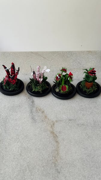 Image of John’s order