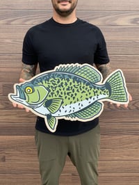 Crappie Wood Print