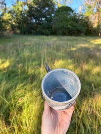 Image 5 of Lady Cutter Spur 