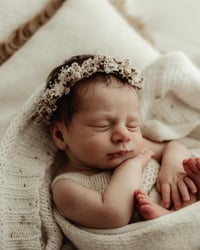 Image 1 of Briar